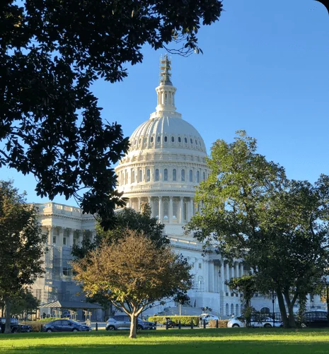Washington D.C.